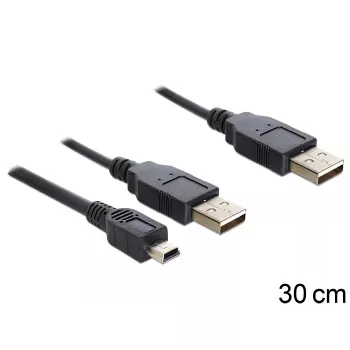 USB Y laidas DeLOCK 83178 USB 2.0 0,3 m 2 x USB A Juodas