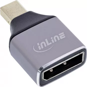 InLine 17291C adapteris DisplayPort lizdas – Mini DisplayPort kištukas, pilka, juoda