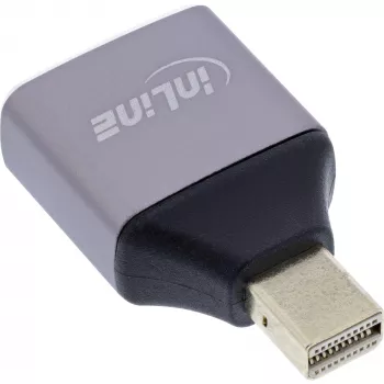 InLine 17291C adapteris DisplayPort lizdas – Mini DisplayPort kištukas, pilka, juoda