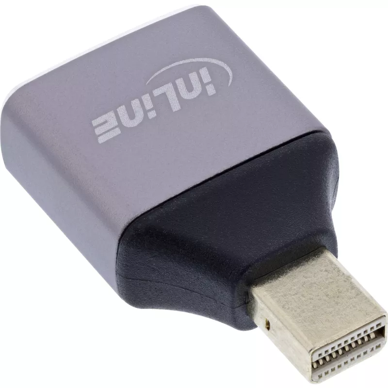 InLine 17291C adapteris DisplayPort lizdas – Mini DisplayPort kištukas, pilka, juoda