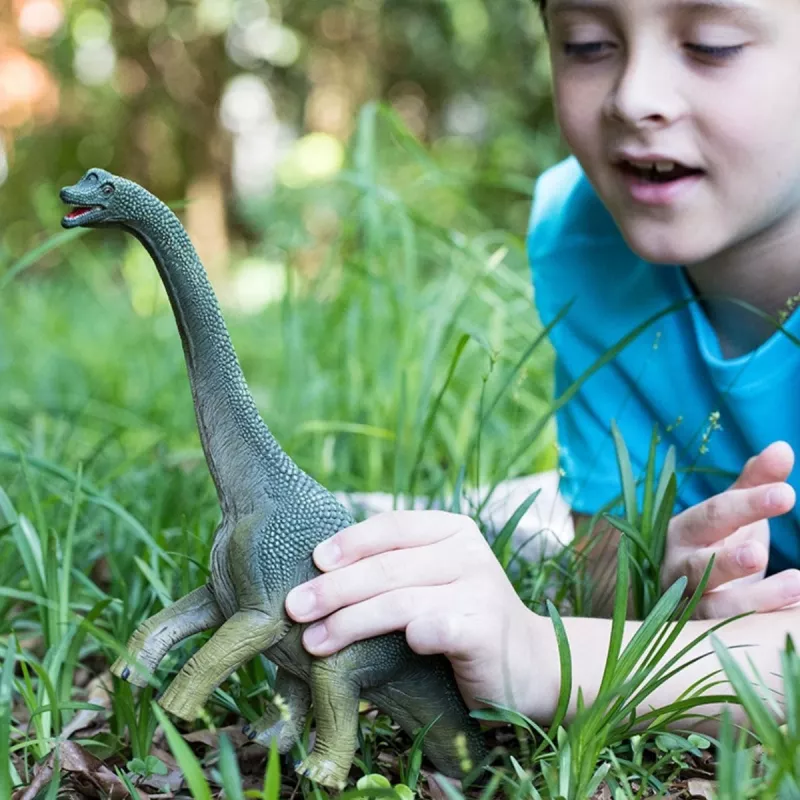 Schleich Dinozaurai Brachiozauras, 4 m., Įvairiaspalvis, Plastikas