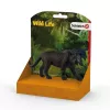 Schleich WILD LIFE Juodoji pantera, 3 m., Džiunglės, Laukiniai gyvūnai / nuotykių žaislai, Įvairiaspalvis, Plastikas