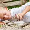 Schleich Dinozaurai Triceratops figūrėlė, 4+ metai, Užkariaujant Žemę, Dinozaurai ir ugnikalnis, Įvairiaspalvė, Plastikas, 1 vnt.