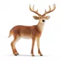 Schleich WILD LIFE Baltauodegis elnias patinas