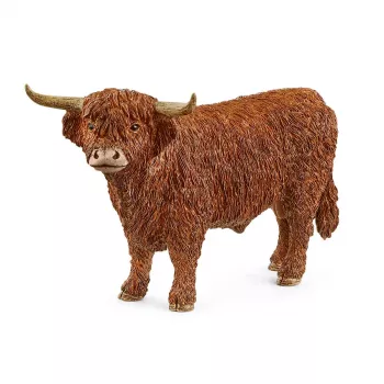 Žaislinė figūrėlė Schleich FARM WORLD Highland Bull