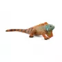 Schleich WILD LIFE Iguana įvairiaspalvė 14854 Rekomenduojamas amžius 3 metai