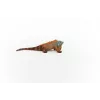 Schleich WILD LIFE Iguana įvairiaspalvė 14854 Rekomenduojamas amžius 3 metai