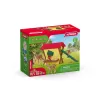 Miško gyvūnų rinkinys Schleich 42658S Spalvingi šėrimo reikmenys