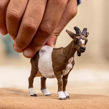schleich FARM WORLD Ožka