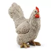 schleich FARM WORLD Mobilus vištidė su vištomis
