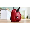 Bosch Serie 4 BGB38RD2 dulkių siurblys 4 L cilindrinis sausas 600 W su dulkių maišeliu