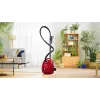 Bosch Serie 4 BGB38RD2 dulkių siurblys 4 L cilindrinis sausas 600 W su dulkių maišeliu