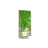 Monitorius Sharp MultiSync EA272U 27 colių 4K Ultra HD LCD baltas