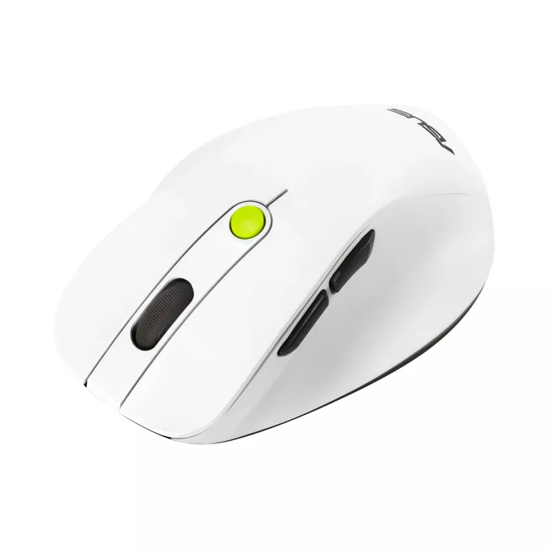 Pelė ASUS MD105 /VT-GN – dešiniarankė, RF belaidė + Bluetooth, 2400 DPI, slinkimo ratukas, maitinama baterijomis, balta/žalia
