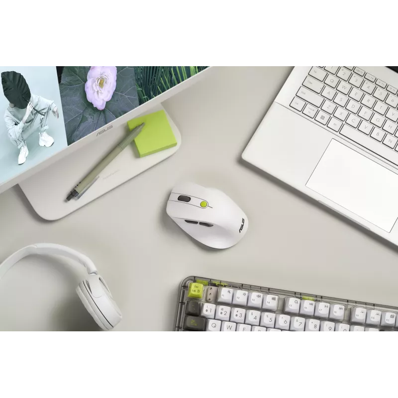 Pelė ASUS MD105 /VT-GN – dešiniarankė, RF belaidė + Bluetooth, 2400 DPI, slinkimo ratukas, maitinama baterijomis, balta/žalia