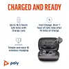 HP Poly Voyager Free 60 UC belaidės ausinės Carbon Black + BT700 USB-C adapteris + įkrovimo dėklas