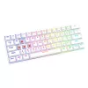 Savio WHITEOUT X2 RED Gaming klaviatūra USB QWERTY mechaninė 61 klavišas