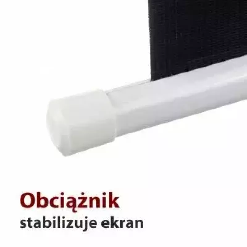 Projekcinis ekranas ART ER M96 1:1