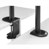 Monitorio laikiklis ant stalo MACLEAN MC-753N, 17–32 colių, VESA 75x75 / 100x100, 9 kg, pakreipimas ±45°, pasukimas ±180°, aukščio reguliavimas