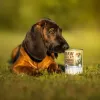 Šlapias ėdalas šuniukams VETEXPERT RAW PALEO Puppy Monoprotein Menkė 400 g, be grūdų, jaunikliams, skardinė