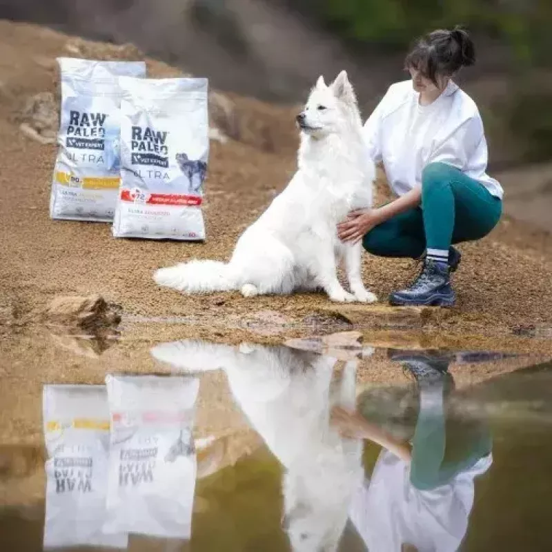VetExpert Raw Paleo Ultra Medium & Large Adult sausas šunų maistas su kalakutiena 2 kg