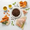 VetExpert Raw Paleo Ultra Medium & Large Adult sausas šunų maistas su kalakutiena 2 kg