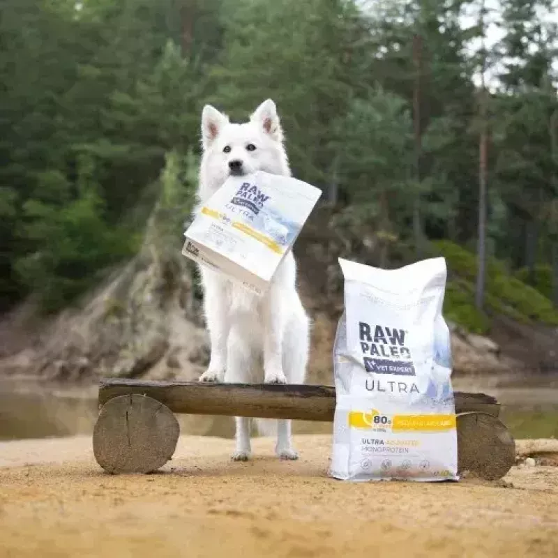 VetExpert Raw Paleo Ultra Medium & Large Adult sausas šunų maistas su kalakutiena 2 kg