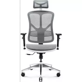 Ergonominė biuro kėdė Diablo Chairs V-Basic Balta-Pilka