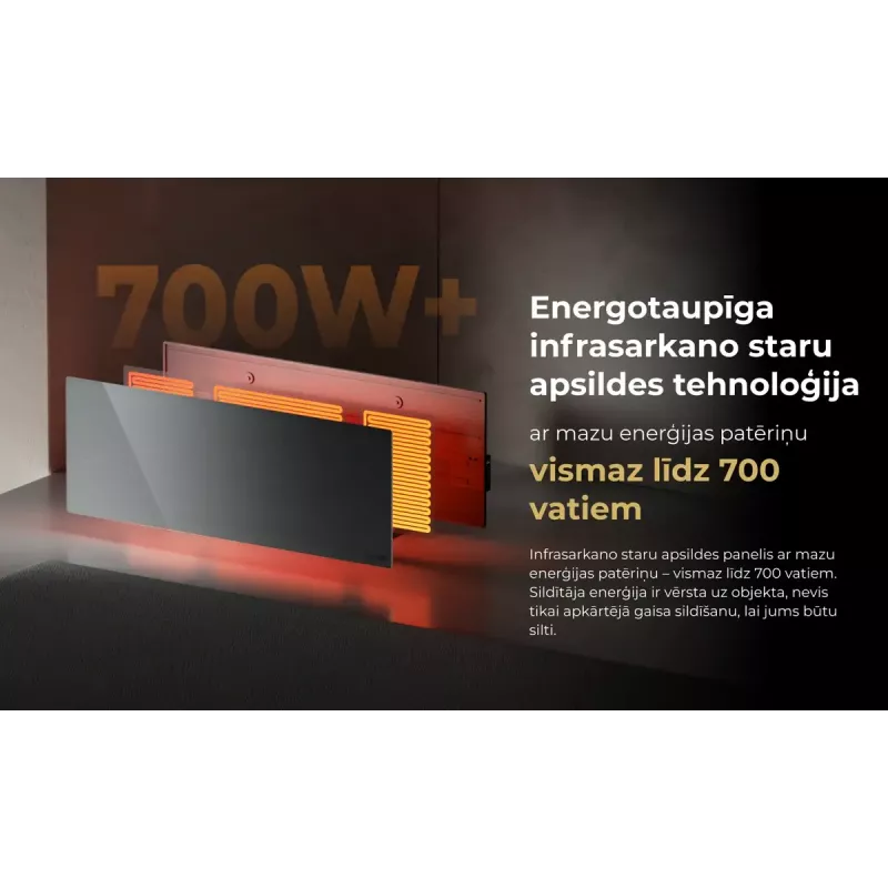 Infraudinis elektrinis šildytuvas AENO Premium Eco Smart Heater AGH0005S, pilkas