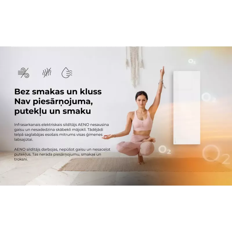 Infraudinis elektrinis šildytuvas AENO Premium Eco Smart Heater AGH0005S, pilkas