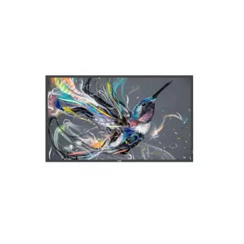 Philips Q-Line 55 colių IPS 4K Ultra HD skaitmeninis informacinis ekranas 55BDL3511Q/00