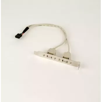 Gembird CCUSBRECEPTACLE vidinė USB 2.0 sąsajos kortelė / adapteris