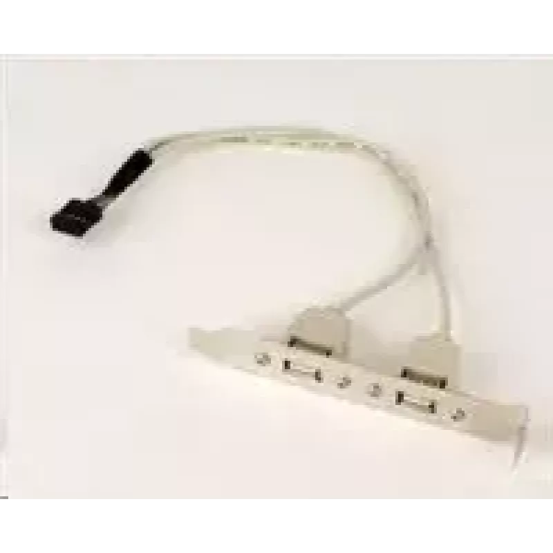 Gembird CCUSBRECEPTACLE vidinė USB 2.0 sąsajos kortelė / adapteris