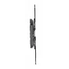 TV laikiklis Gembird WM-60ST-01 32–60 col., VESA 100x100–400x400, iki 36,4 kg, pakreipimas -2°–10°, atstumas nuo sienos 4,2–45,2 cm, juodas