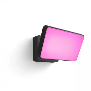 Prožektorius Philips Hue Discover Outdoor Floodlight LED juodas 24V