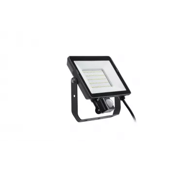 LED lauko prožektorius Philips 50 W 4000 K IP65 juodas