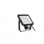 LED lauko prožektorius Philips 50 W 4000 K IP65 juodas