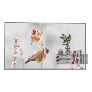 LG 55EW5P-M Skaidrus OLED Ekranas 139,7 cm (55 colių) 600 cd/m² Full HD Sidabrinis Liečiamas 18/7