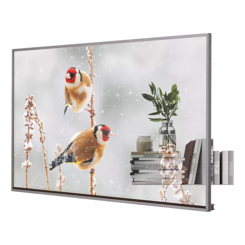LG 55EW5P-M Skaidrus OLED Ekranas 139,7 cm (55 colių) 600 cd/m² Full HD Sidabrinis Liečiamas 18/7