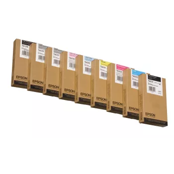 Epson T603100 vienetinis rašalo paketas Photo Black 220 ml