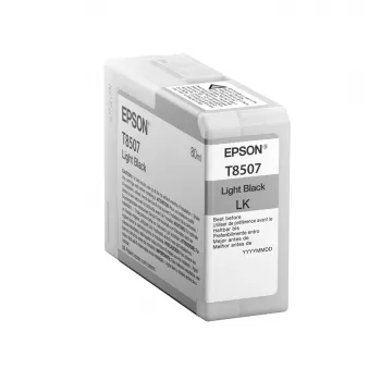 Epson T850700 šviesiai juodas rašalo kasetė, 80 ml, 1 vnt.