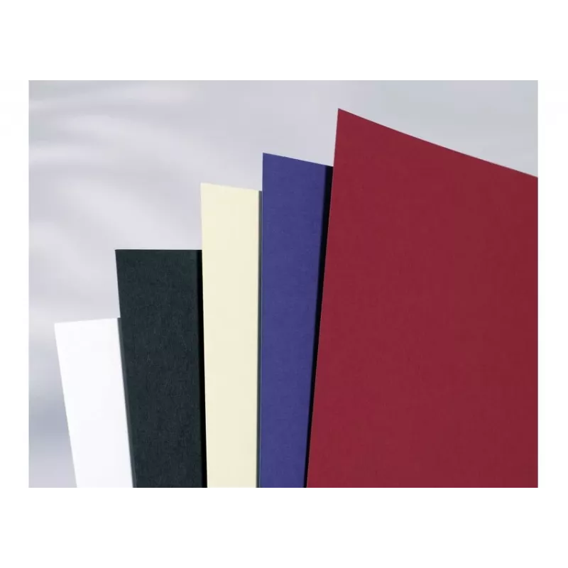 GBC Binding Cover A4 Plain 250 gsm – balti kieti viršeliai dokumentams, 100 vnt.