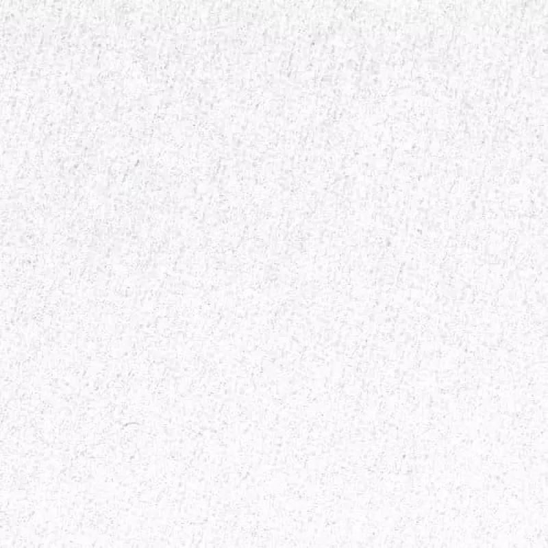 GBC Binding Cover A4 Plain 250 gsm – balti kieti viršeliai dokumentams, 100 vnt.