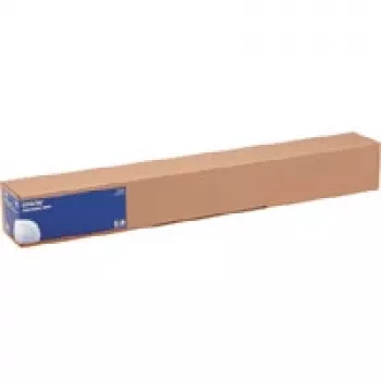 Epson blizgus nuotraukų popierius, 44 colių x 30,5 m, 250 g/m²