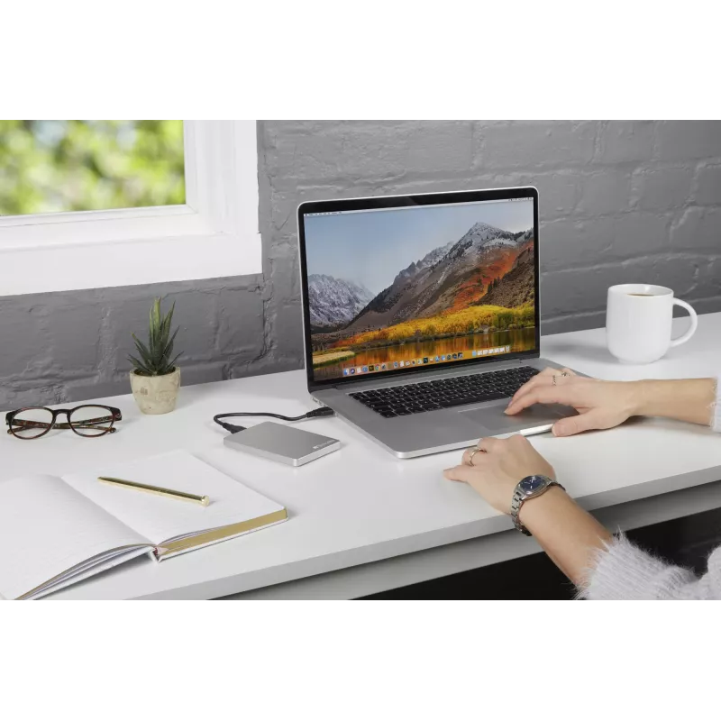 Verbatim Store 'n' Go ALU Slim nešiojamas kietasis diskas 1TB sidabrinis