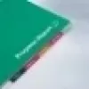 GBC laminavimo maišeliai A4+ išankstiniu perforavimu 125 mikronų, blizgūs, A4 Maxi, 228 mm, 0,25 mm, 303 mm, 100 vnt.
