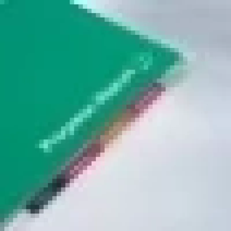 GBC laminavimo maišeliai A4+ išankstiniu perforavimu 125 mikronų, blizgūs, A4 Maxi, 228 mm, 0,25 mm, 303 mm, 100 vnt.