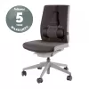 Fellowes Profesional Series Ultimate atramos nugariai su antibakterine apsauga