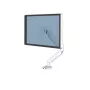 Fellowes Platinum Series monitorinis laikiklis - monitoriaus stovas 8 kg, iki 40 colių ekranams - reguliuojamas stalinis laikiklis - pakreipimas 45°, pasukimas 180°, sukimas 360°, VESA 75x75/100x100 - baltas