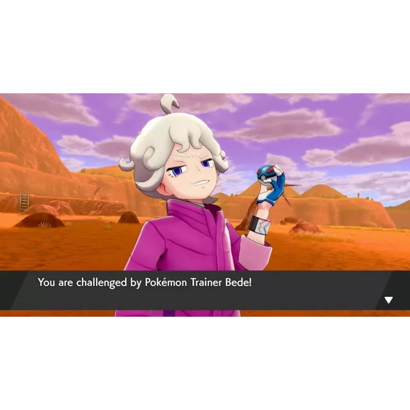 Nintendo Pokemon Sword standartinis leidimas Nintendo Switch